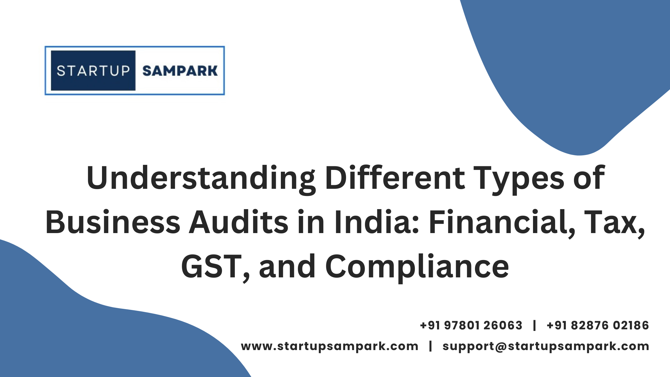 Business Audits